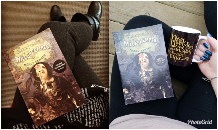 PhotoGrid_1512072527223