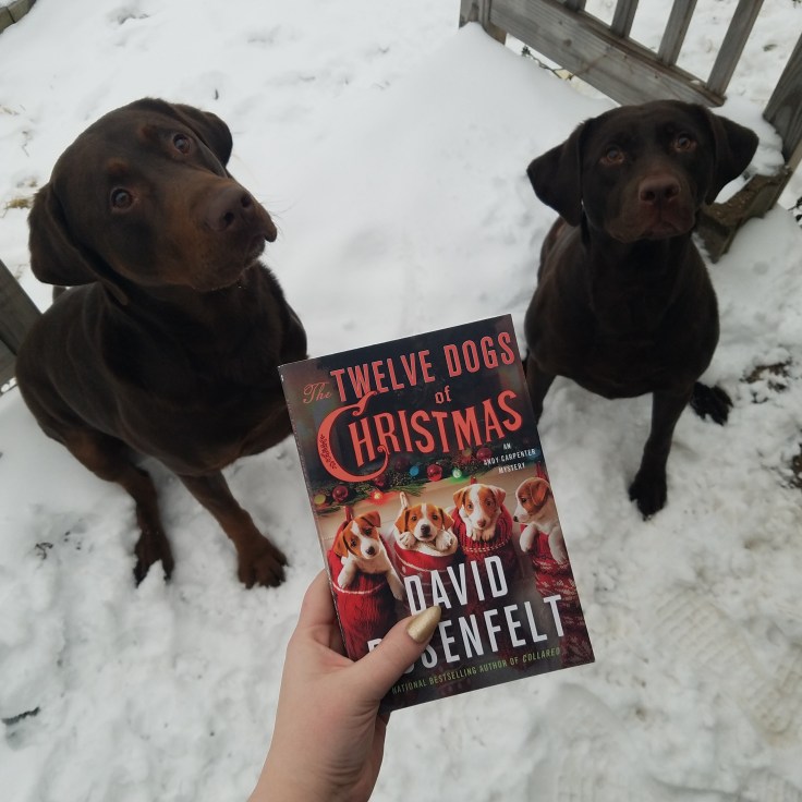 IMG_20171219_083426_649