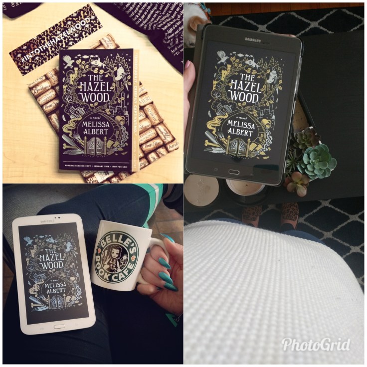 PhotoGrid_1517583311222