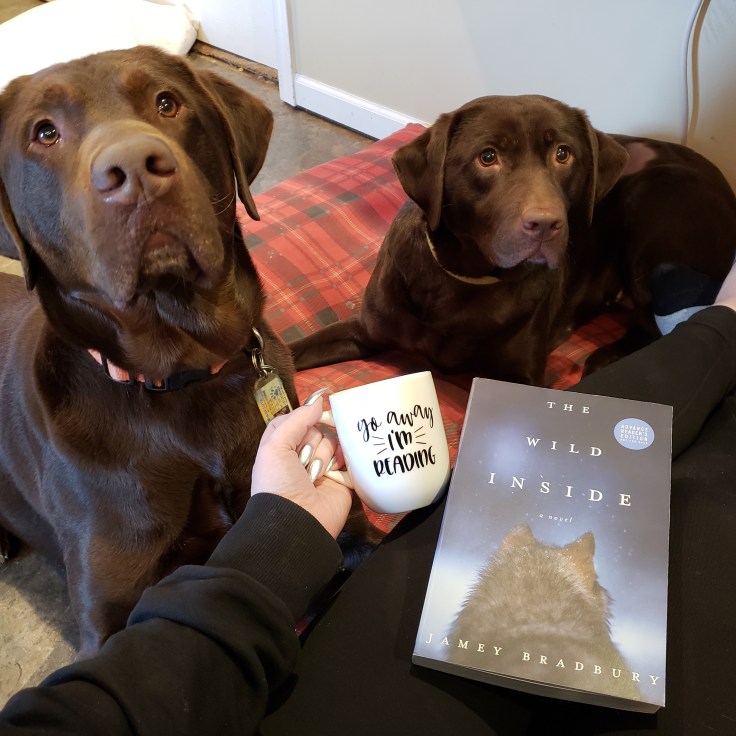 IMG_20180323_112433_488