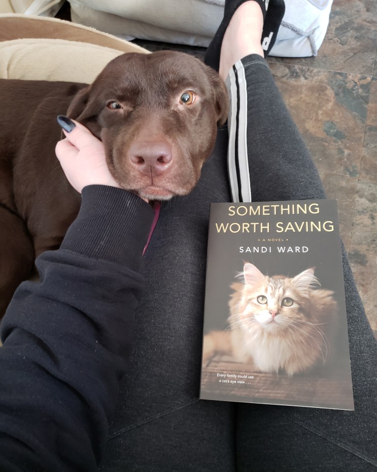 img_20190124_154621_706