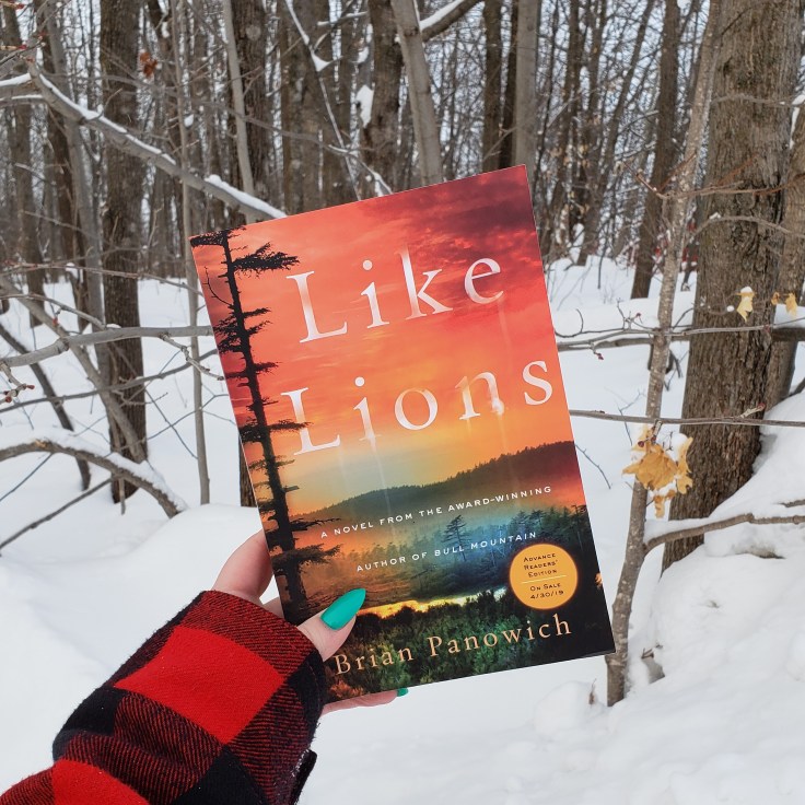 IMG_20190212_173818_705