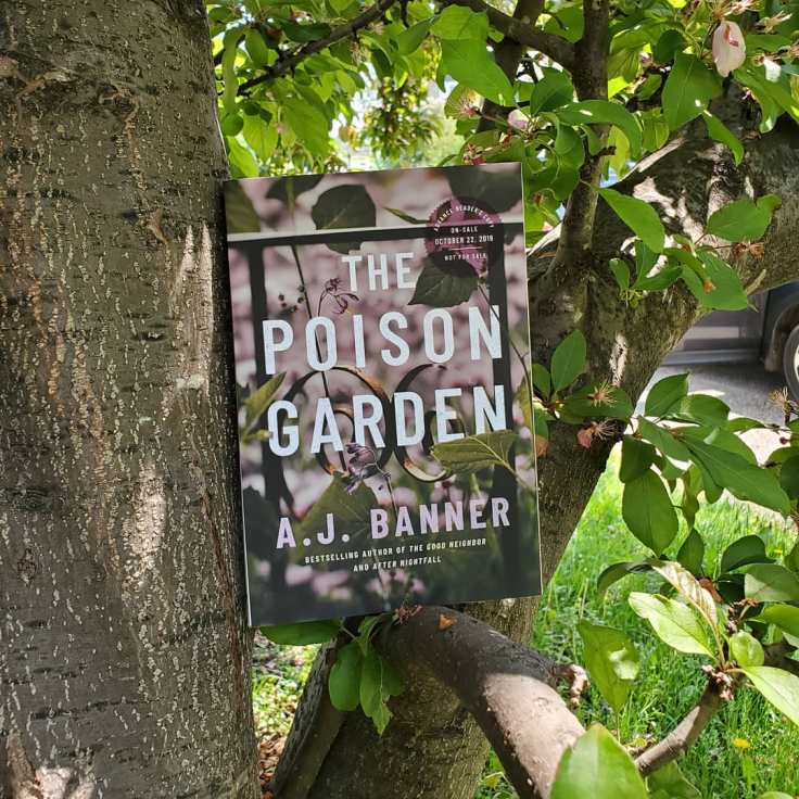 IMG_20190602_171240_908