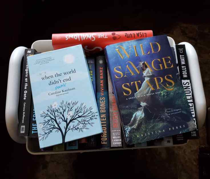 IMG_20190904_123305_527